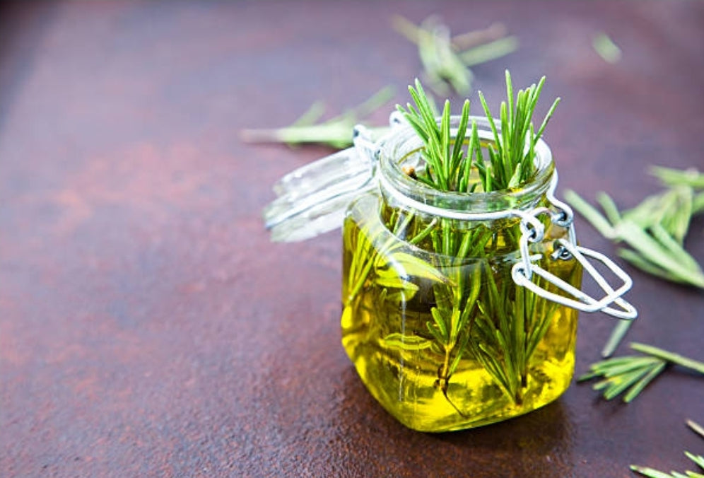 Rosemary oil 1/2 oz