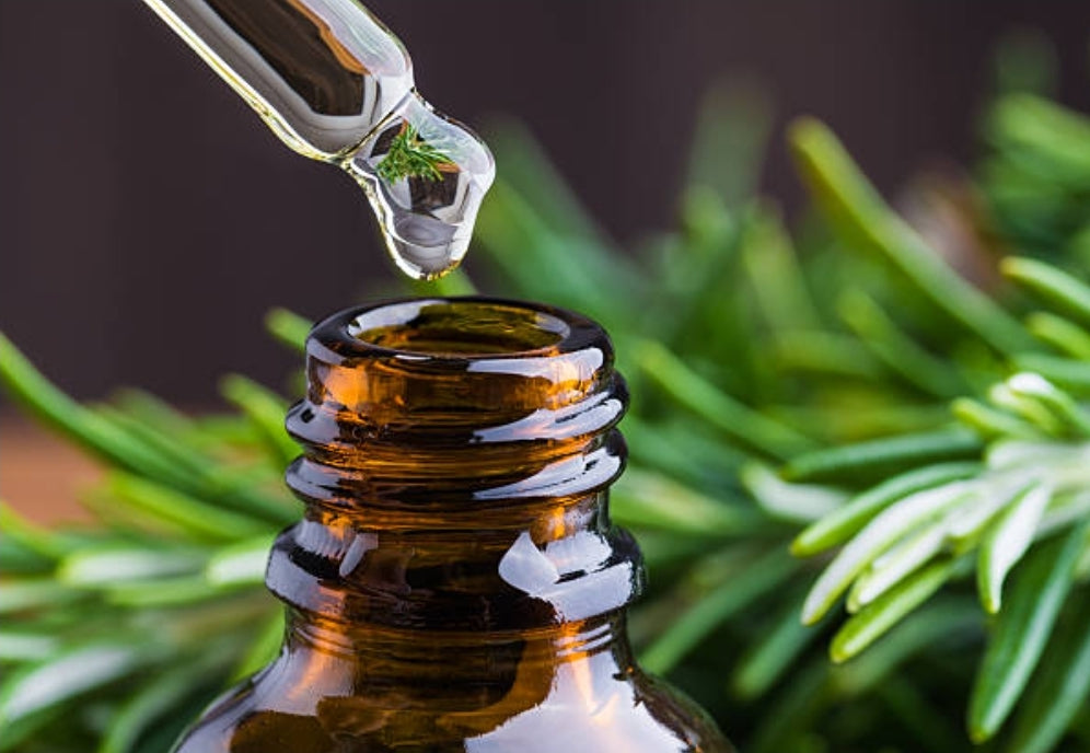 Rosemary oil 1/2 oz